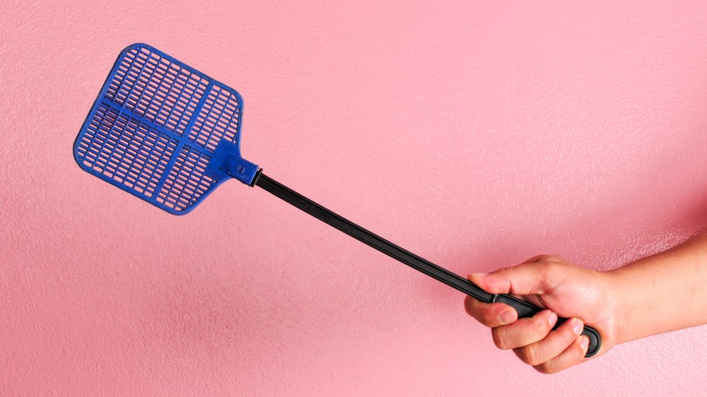 Fly swatter