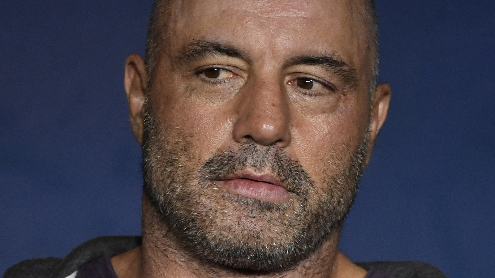 Joe Rogan Is Confident This Person Would Beat Donald Trump In 2024