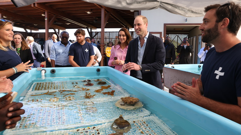 Catherine Middleton and Prince William at Coral Vita coral farm