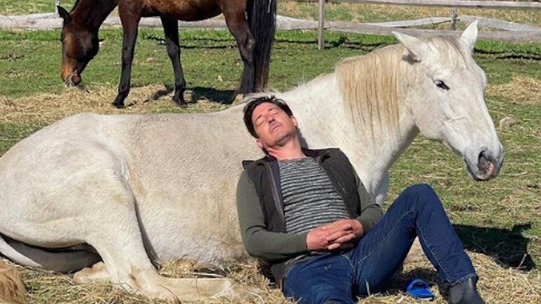 Jonathan Knight sleeping with horses