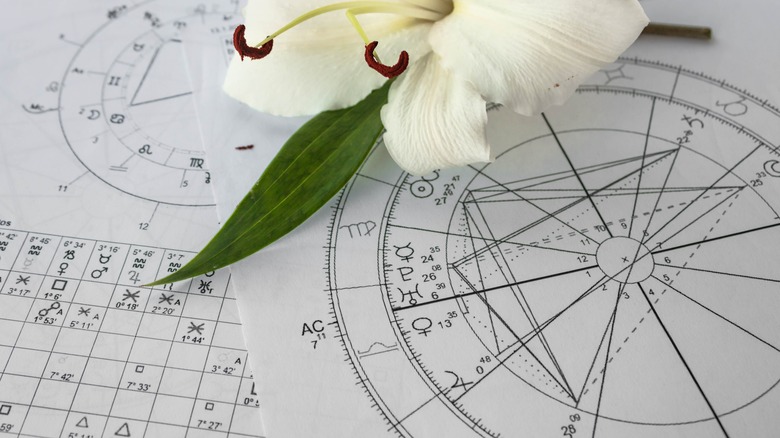 Flower on astrology birth chart 