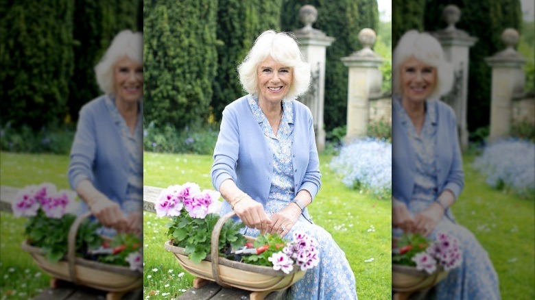Photograph of Camilla Parker Bowles taken by Kate Middleton