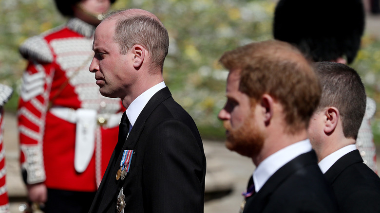 Princes William and Harry procession