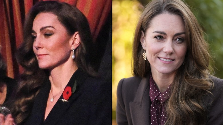 Kate Middleton poppy pin and pearl earrings/fern earrings dotted shirt