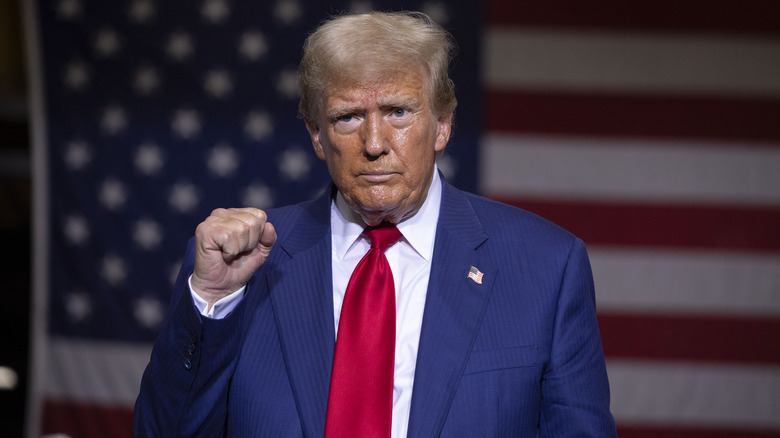 Donald Trump fist up in front of American flag