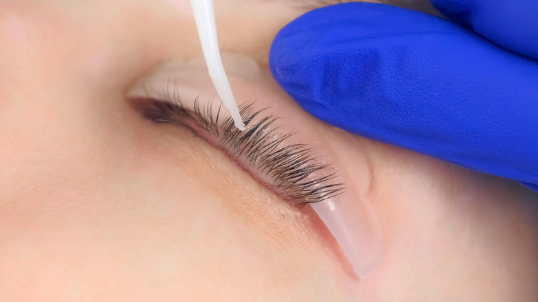 eyelash lift