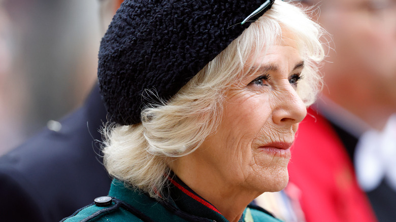 Queen consort Camilla attending royal event in Westminster