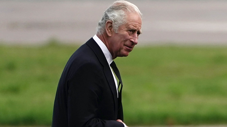 King Charles III profile view