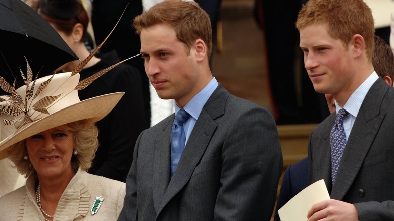 Camilla with William, Harry