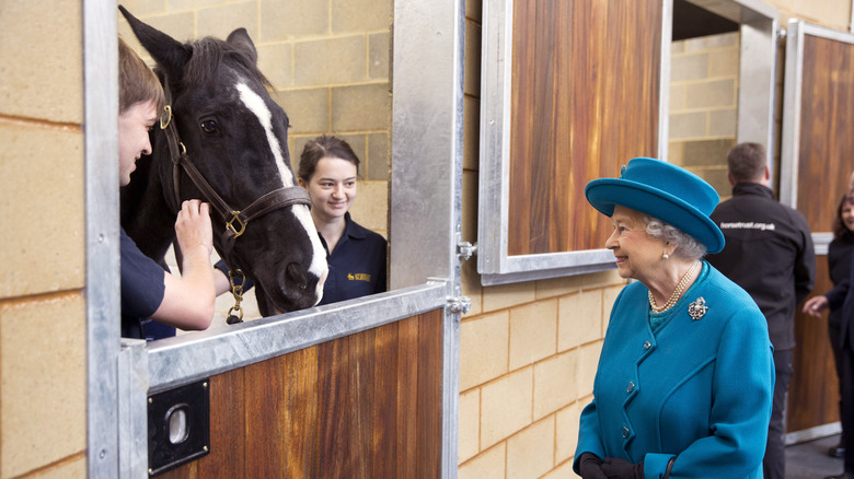 Queen Elizabeth admiring a horse in 2017