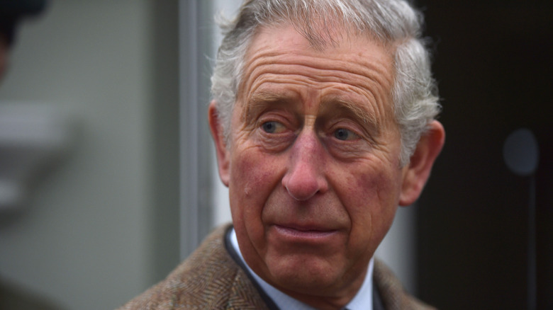 Prince Charles looking concerned