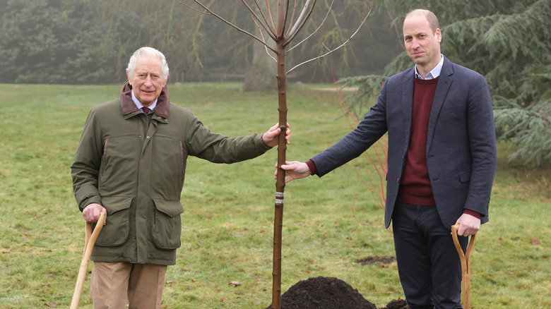 King Charles and Prince William plant tree 2023