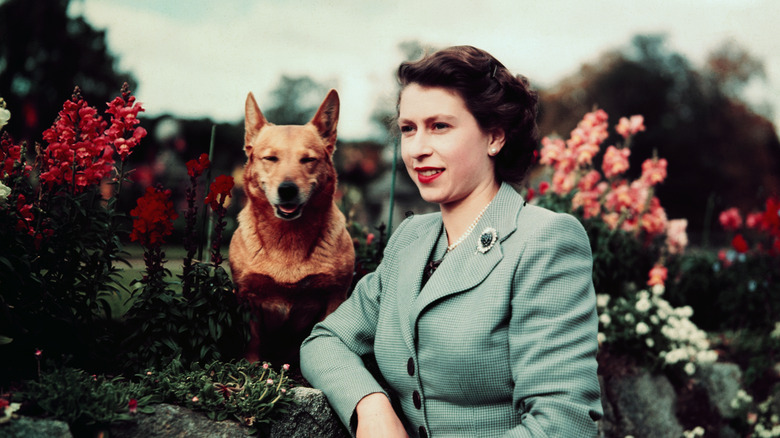 Queen Elizabeth II in the Balmoral gardens 