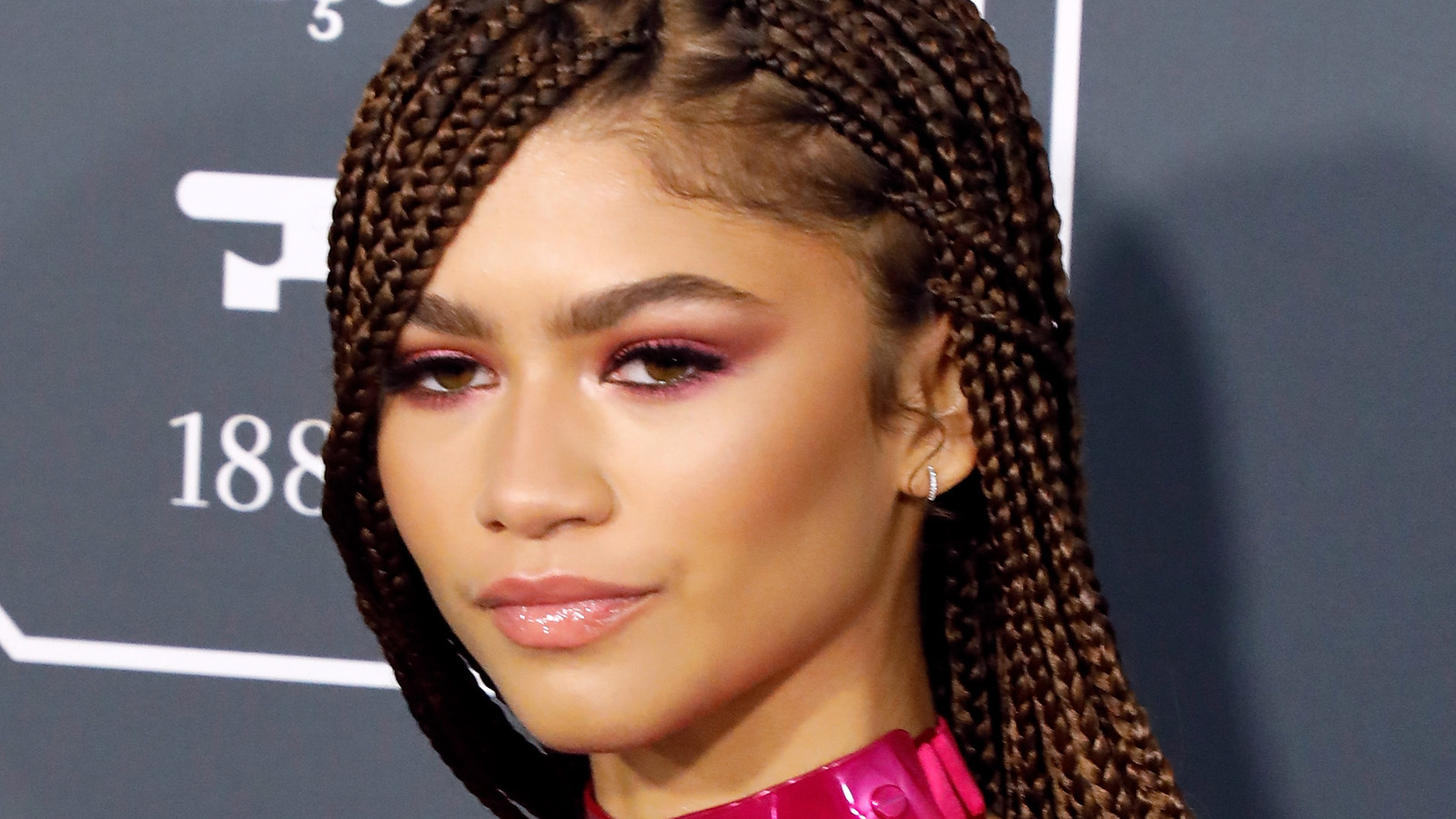 Box braids zendaya