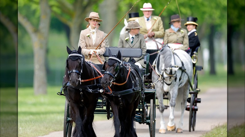 Lady Louise driving a carriage