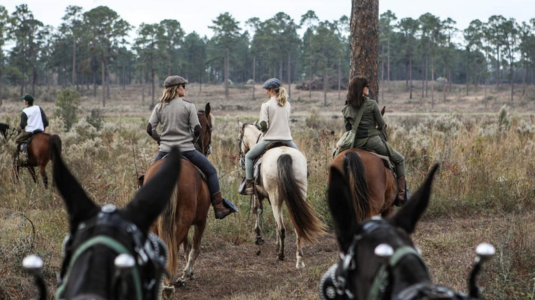 Hunting on Melissa Trafelet's Georgia estate