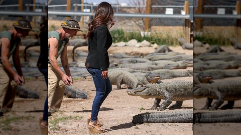 Lauren Boebert side view with alligators