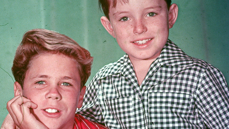 Tony Dow and Jerry Mathers Leave It to Beaver