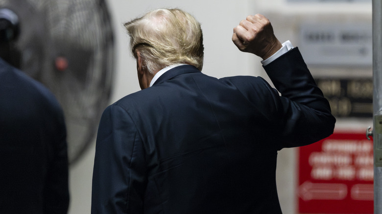 Donald Trump with one fist raised