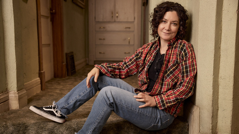 Sara Gilbert as Darlene Conner