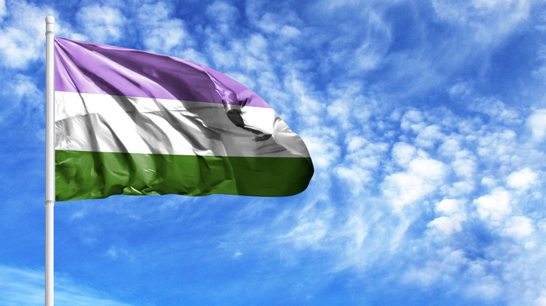 Genderqueer Flag in the sky