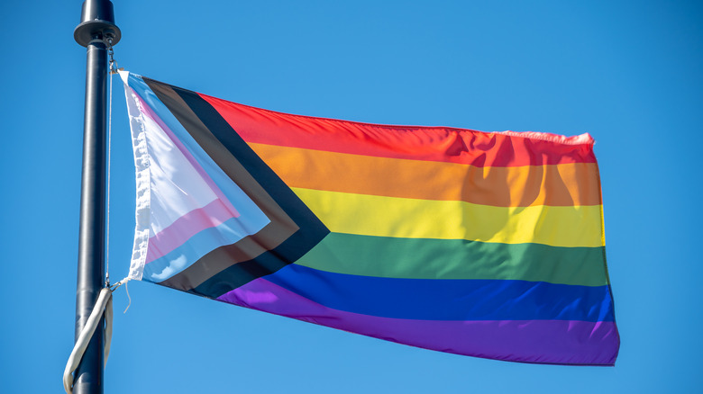 The Progress Pride Flag flying 