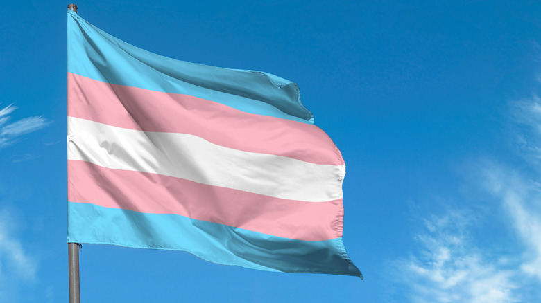 The Transgender Flag flying