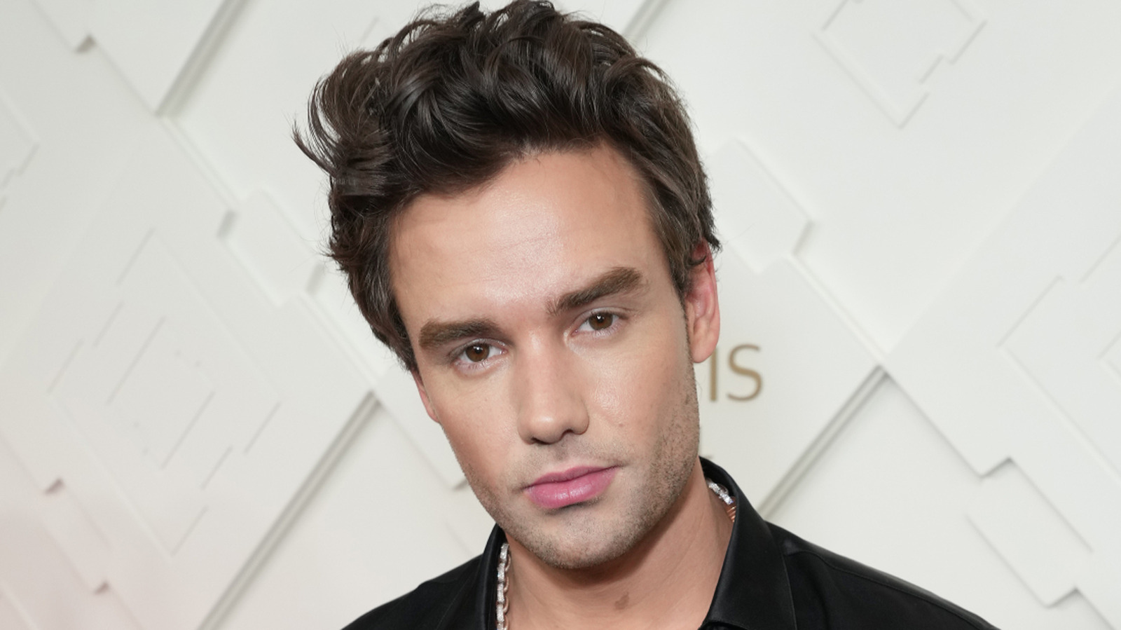 Liam Payne Didn't Mince Words On His Thoughts About Diddy The List