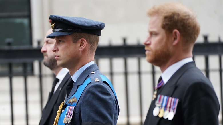 Prince William and Prince Harry posing 