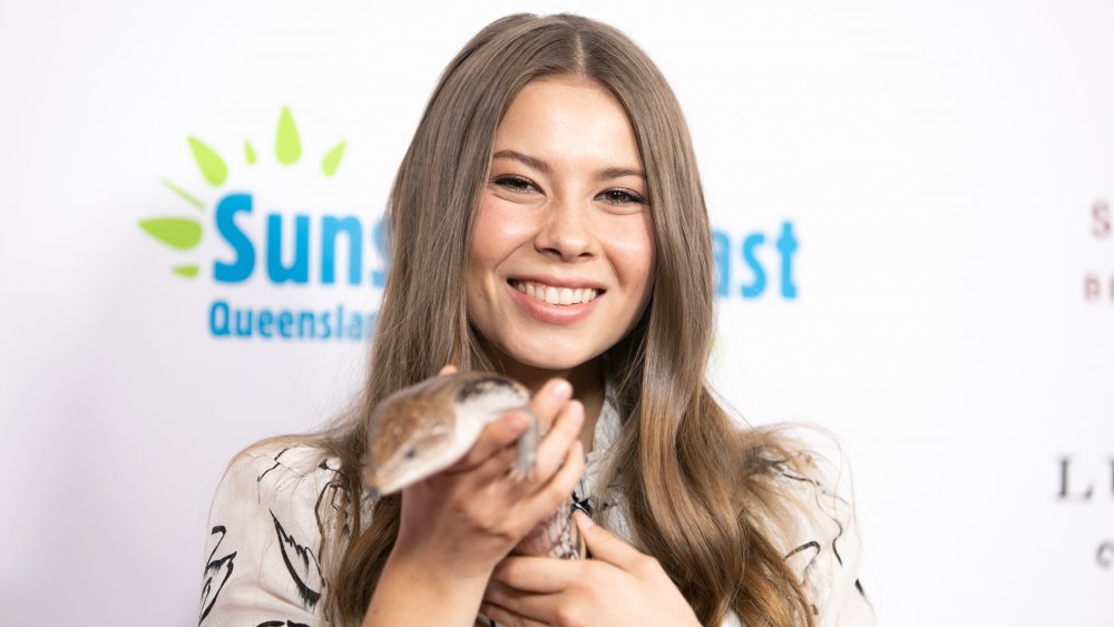 Bindi Irwin at a gala in 2017 with a snake