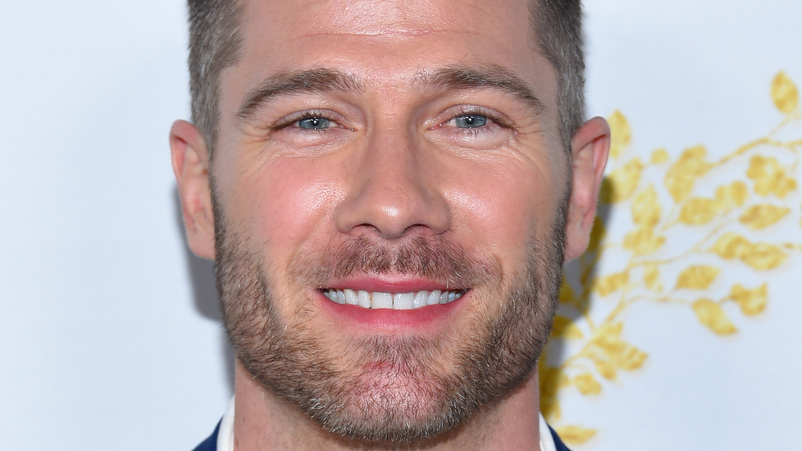 Luke Macfarlane Spills The Tea About His Experience On LGBTQ RomCom Bros