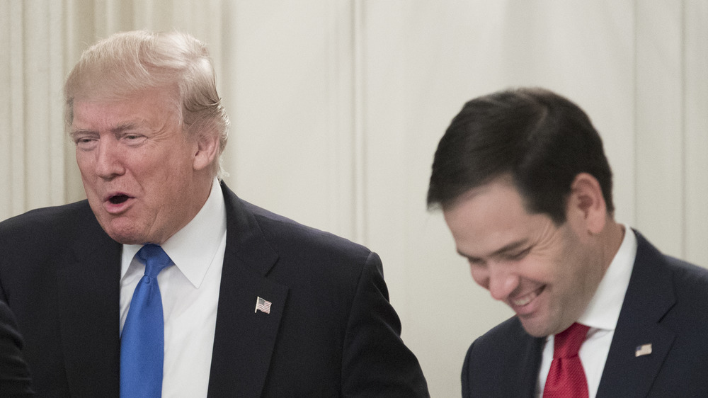 Donald Trump, Marco Rubio laughing