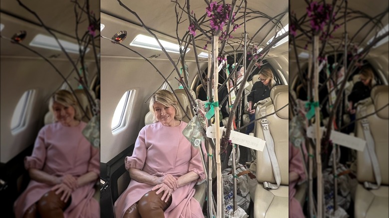 Martha Stewart on a private jet