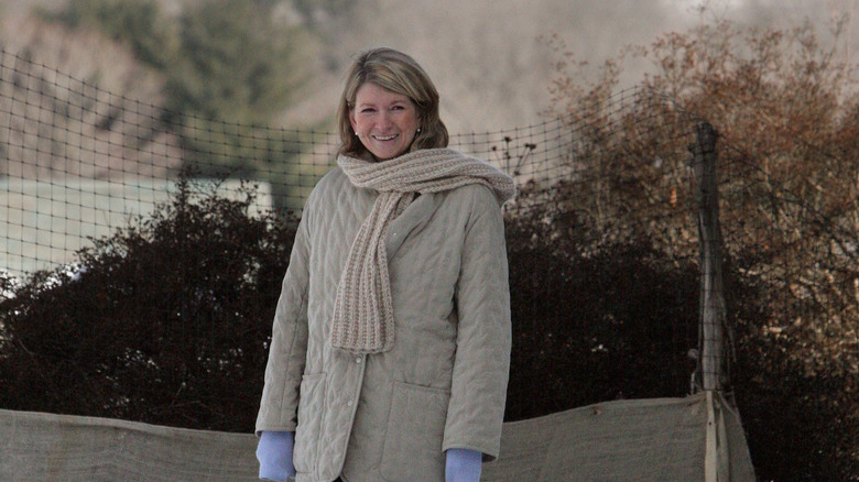 Martha Stewart at home after her prison release 