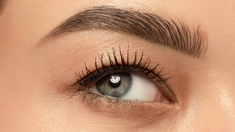 mascara-colors-that-make-grey-eyes-pop