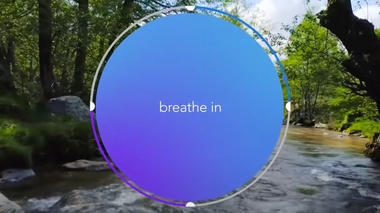 Calm meditation app