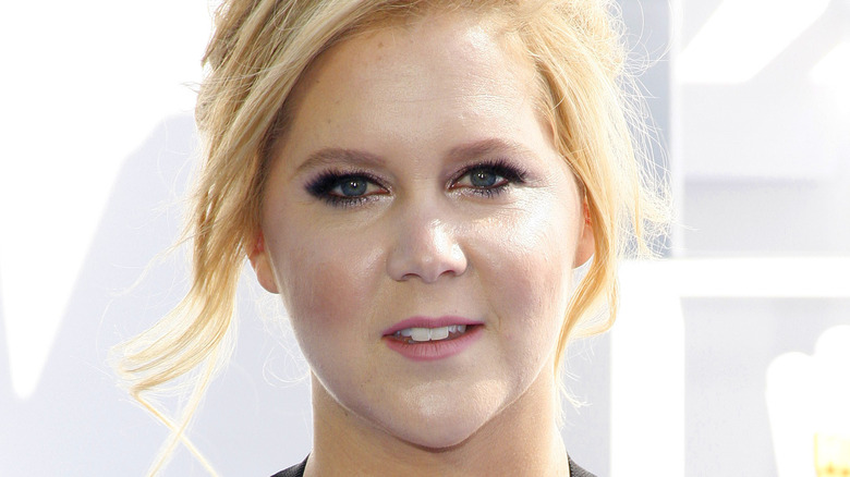 Amy Schumer posing, hair up