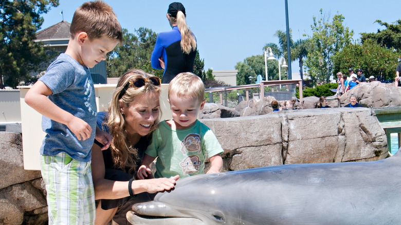 Sheryl Crow and sons petting a dolphin