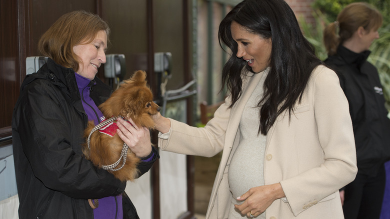 Meghan Markle petting a dog