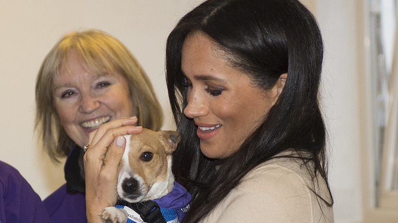 Meghan Markle cuddling with dog 