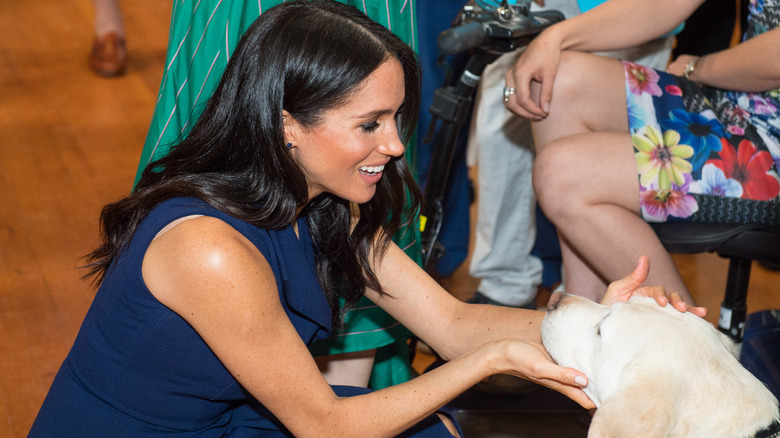 Meghan Markle petting a dog