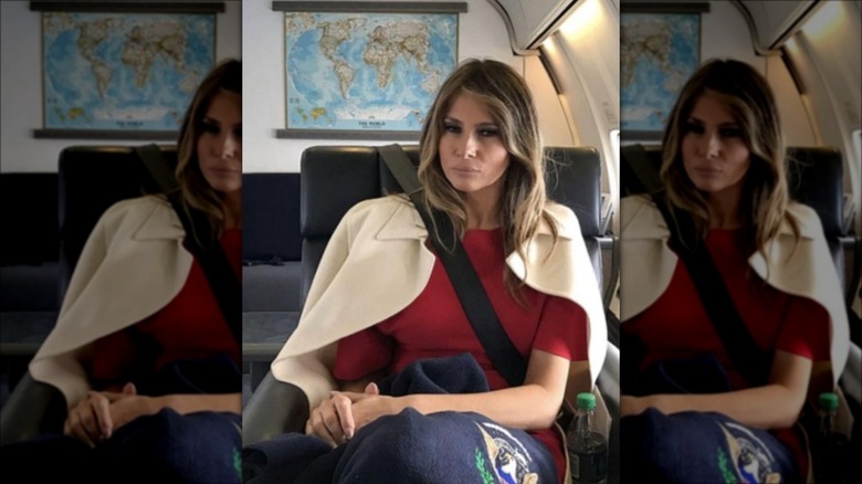 Wolkoff's photo of Melania on plane