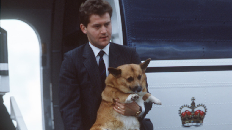 Paul Burrell with corgi