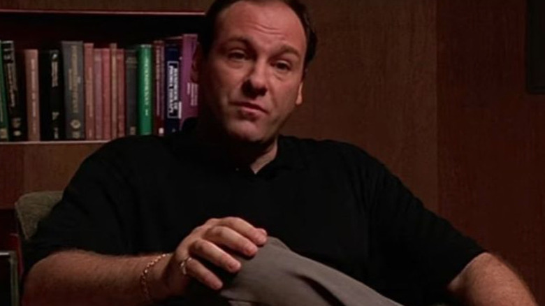 Tony Soprano on "The Sopranos"