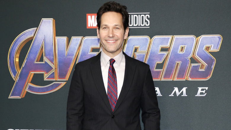 Paul Rudd Avengers