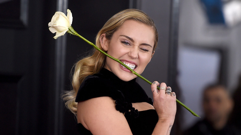 Miley Cyrus biting rose