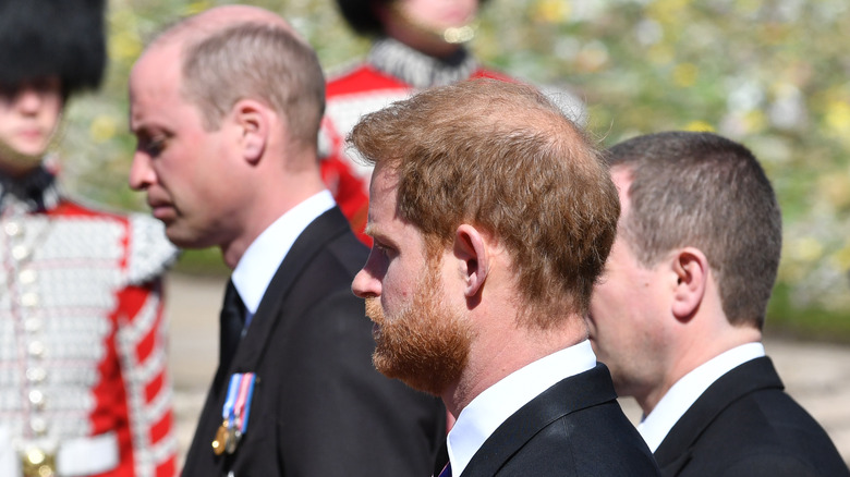 Prince Wiliam and Prince Harry at Prince Philip's funeral