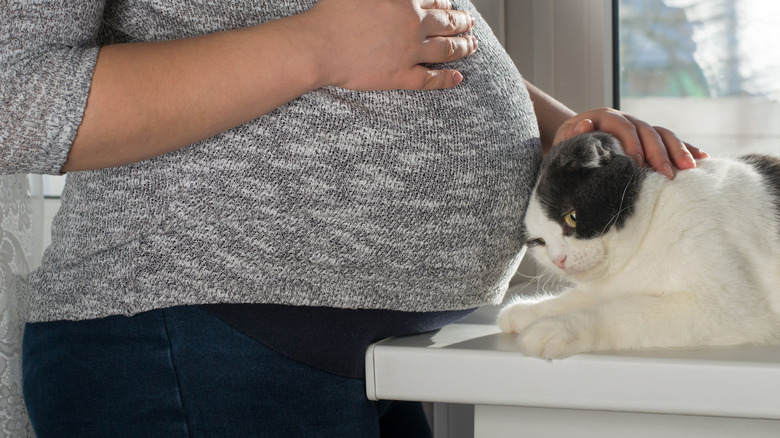 Pregnant woman with cat