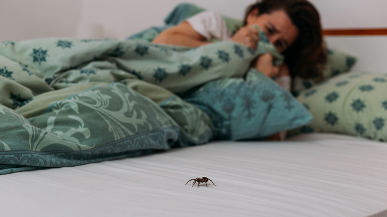 Woman scared of spider 