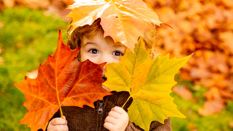 boy with fall leaves